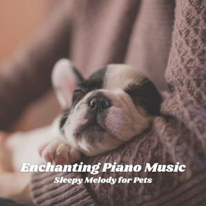 Music for Sleeping Ensemble的专辑Enchanting Piano Music: Sleepy Melody for Pets