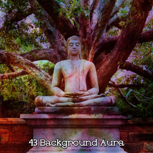Meditation Zen Master的专辑43 Background Aura