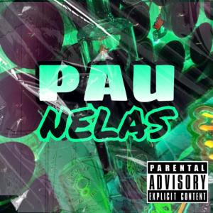 Listen to Pau Nelas (Explicit) song with lyrics from Surfista