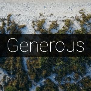 EVO的专辑Generous