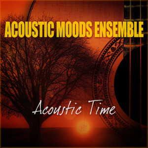 收聽Acoustic Moods Ensemble的Time In A Bottle歌詞歌曲