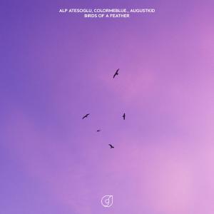 Alp Atesoglu的專輯Birds Of A Feather (feat. AUGUSTKID)