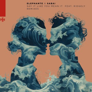 ดาวน์โหลดและฟังเพลง Say It Like You Mean It (shXdow. Remix) พร้อมเนื้อเพลงจาก Elephante