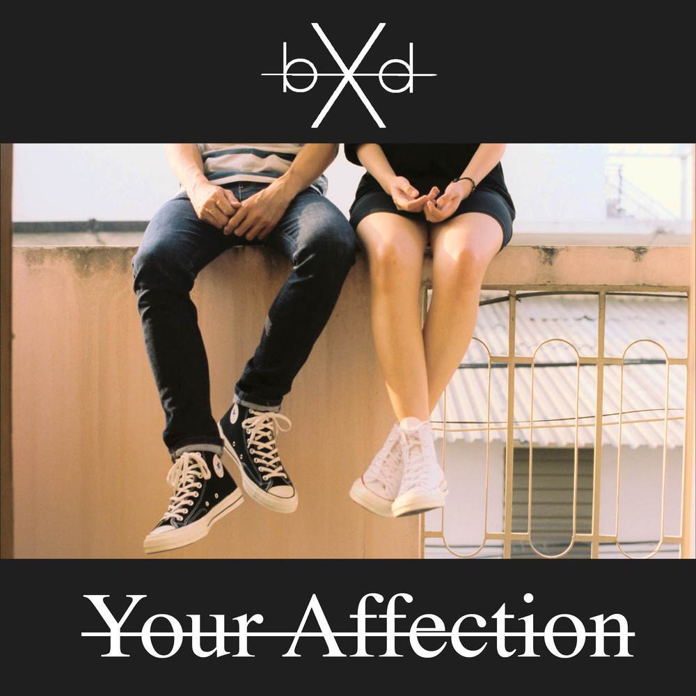 Your Affection (From "Persona 4")