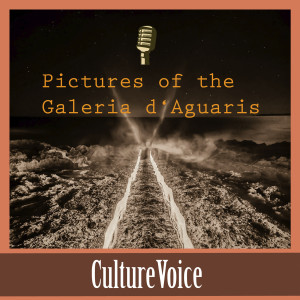 CultureVoice的专辑Pictures of the Galeria D’aguaris