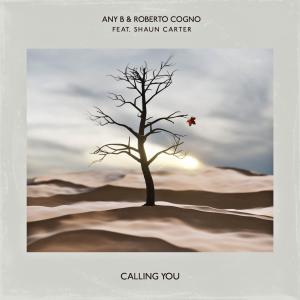 收聽Any B的Calling You (feat. Shaun Carter)歌詞歌曲