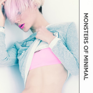 Album Monsters of Minimal from Various