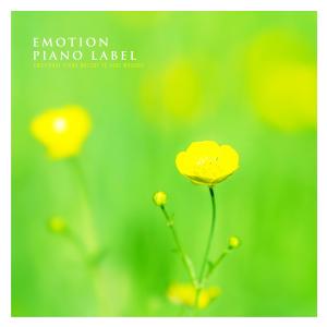 Listen to Afternoon Mist song with lyrics from 블루코너