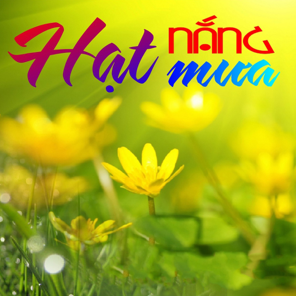 Tìm em nơi phố nhỏ