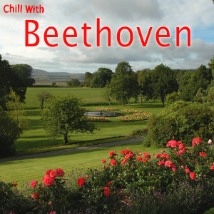 ดาวน์โหลดและฟังเพลง Minuet 2 พร้อมเนื้อเพลงจาก Chill With Beethoven