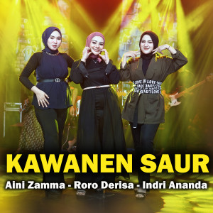 Listen to Kawanen Saur song with lyrics from Aini Zamma