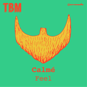 ดาวน์โหลดและฟังเพลง Feel (Original Mix) พร้อมเนื้อเพลงจาก Calme