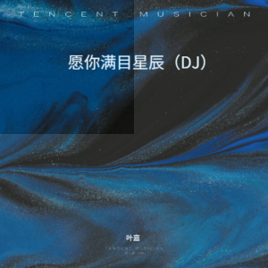 Album 愿你满目星辰（DJ版） from 刘洁