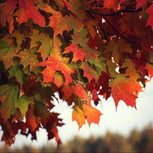 Listen to Tend to Yourself song with lyrics from Spa Music Relaxation