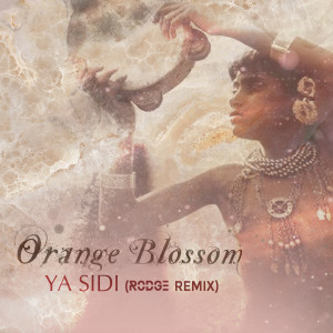 Listen to Ya Sidi (Rodge Remix) song with lyrics from Orange Blossom