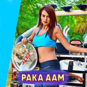 Listen to Paka Aam song with lyrics from Shree Dhull