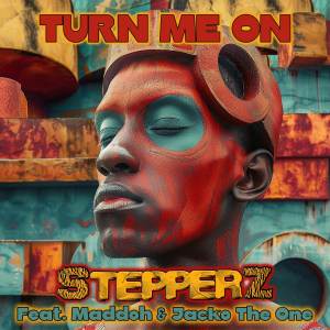 Stepperz的專輯Turn Me On