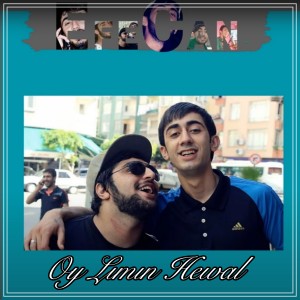 Listen to Oy Lımın Hewal song with lyrics from Efecan