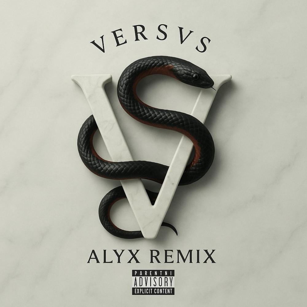ALYX REMIX (Explicit)