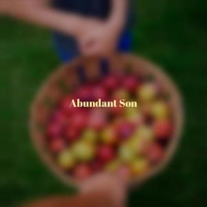 Listen to Appropriate Of song with lyrics from Lyee Aner
