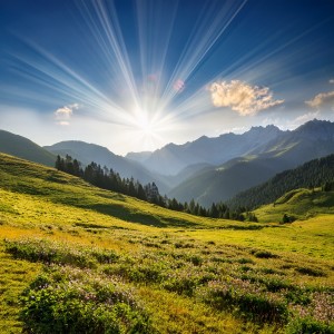 ดาวน์โหลดและฟังเพลง Armonías Del Cielo Nocturno พร้อมเนื้อเพลงจาก Memoria Linda