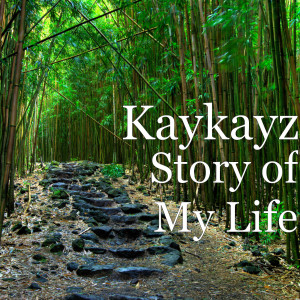 Listen to Halelluya song with lyrics from Kaykayz