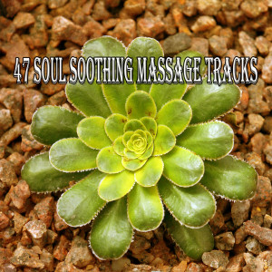 ดาวน์โหลดและฟังเพลง Magical Mind พร้อมเนื้อเพลงจาก Meditation Zen Master