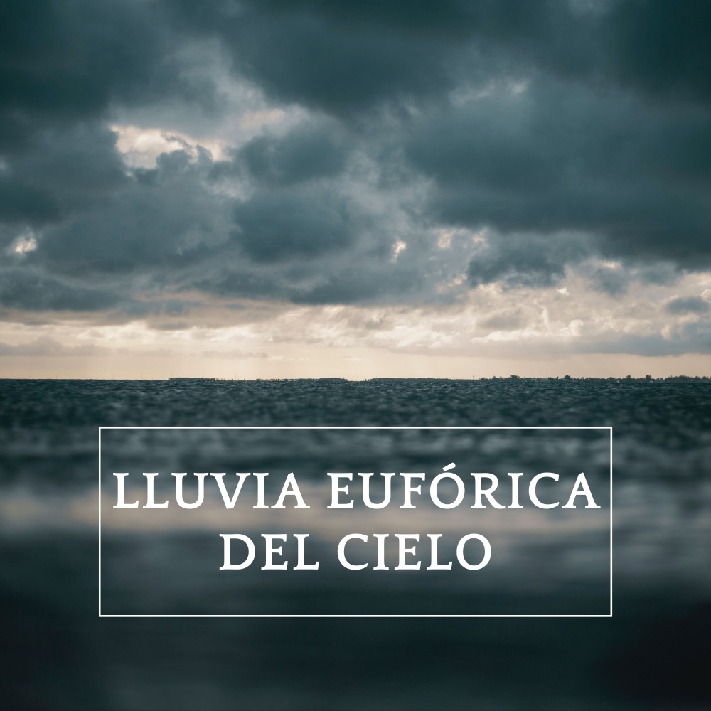 Suelo Húmedo