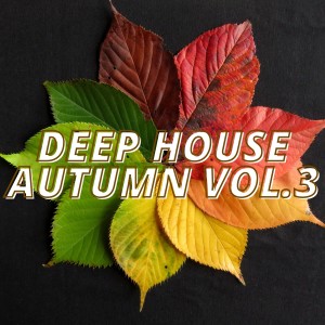 อัลบัม Deep House Autumn Vol.3 ศิลปิน Various