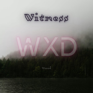 Listen to Witness song with lyrics from Waxed
