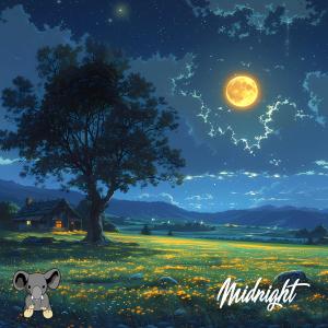 Ed Mate的專輯Midnight