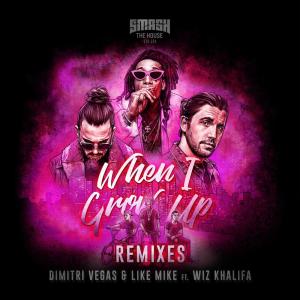 อัลบัม When I Grow Up  (The Remixes) ศิลปิน Dimitri Vegas & Like Mike