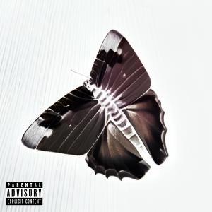 Randy的專輯The Butterflies Mixtape, Pt. 2 (Explicit)