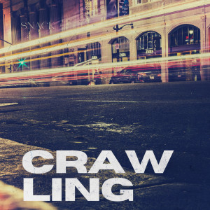 收听Snack的Crawling歌词歌曲
