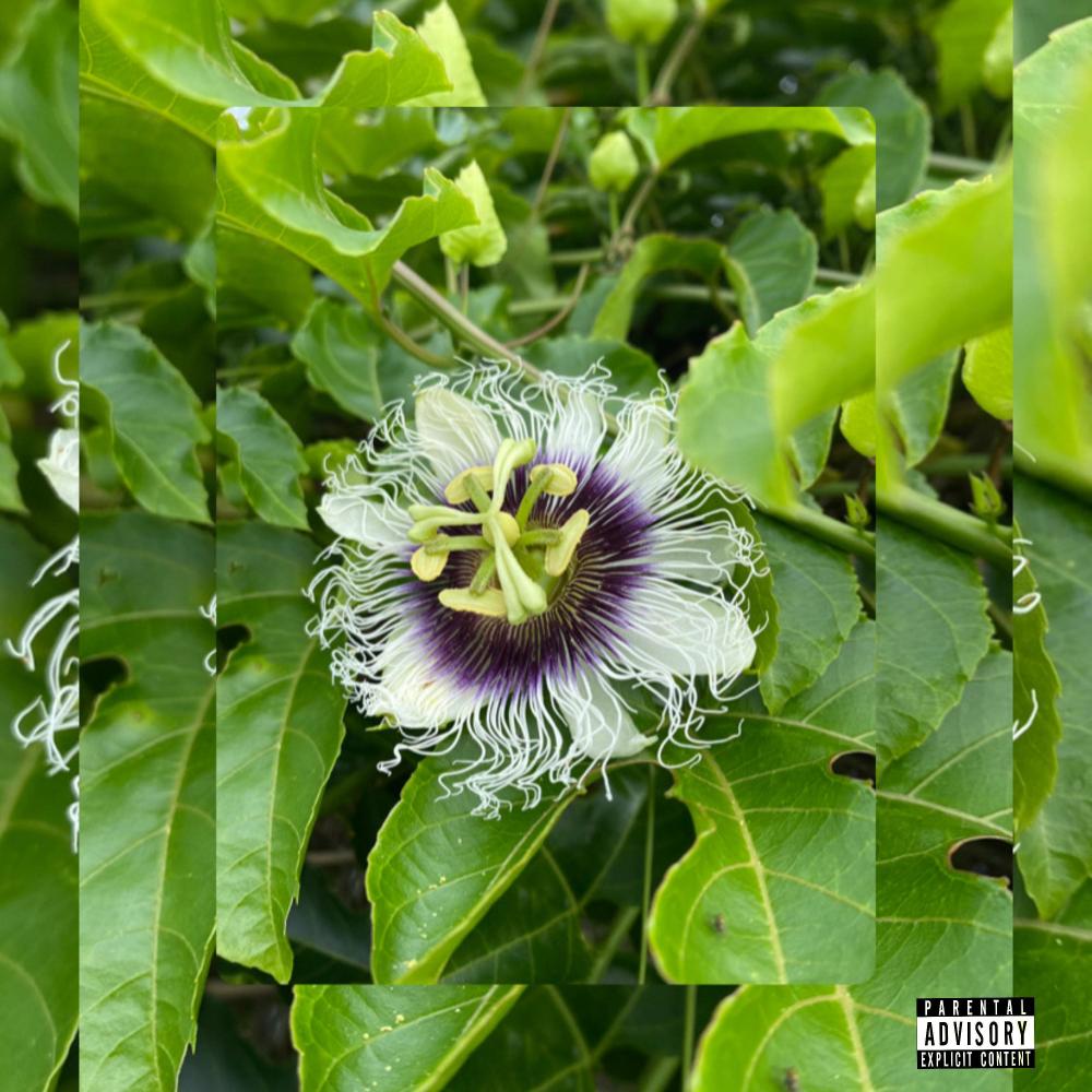 felt experience (Explicit)