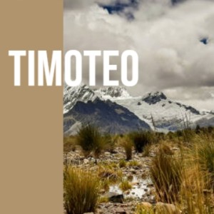 Album Timoteo from Various
