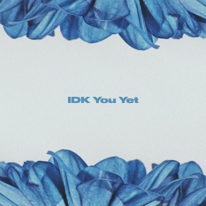 IDK You Yet - Violin Cover