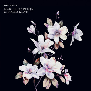 收聽Marcel Kapteijn的Magnolia歌詞歌曲