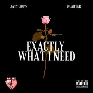 Listen to Exactly What I Need (feat. D Carter) (Explicit) song with lyrics from Jayy Crow