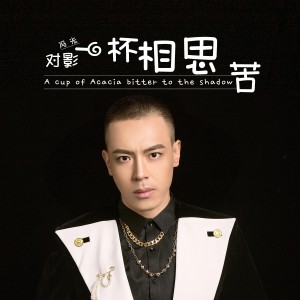 Dengarkan 对影一杯相思苦 (完整版) lagu dari 冯光 dengan lirik