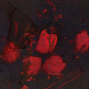 ดาวน์โหลดและฟังเพลง Dry Flower พร้อมเนื้อเพลงจาก Kim Feel