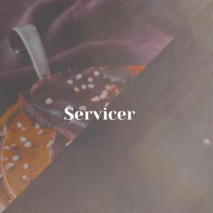 อัลบัม Servicer ศิลปิน Various
