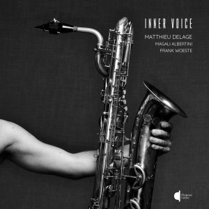 收聽Matthieu Delage的Mélisma (Saxophone baryton et piano)歌詞歌曲