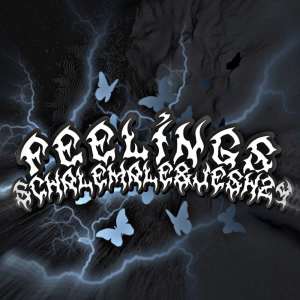 Album Feelings (Explicit) oleh Schalemale