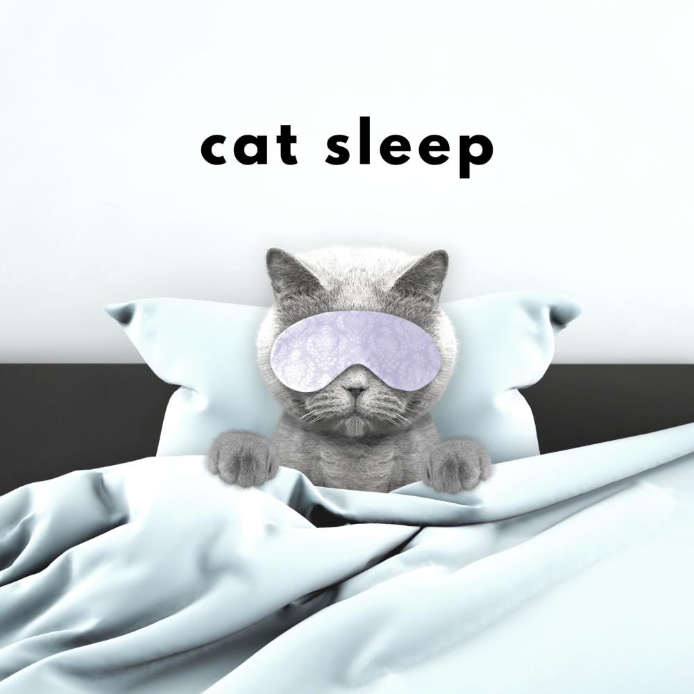 Cats in Heaven