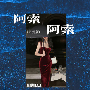 收聽陽朔DJ-ZYH的阿索阿索 (DJ版)歌詞歌曲