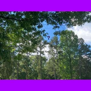 ดาวน์โหลดและฟังเพลง Fear Not พร้อมเนื้อเพลงจาก Eris