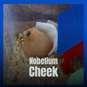 收聽Daney的Nobelium Cheek歌詞歌曲