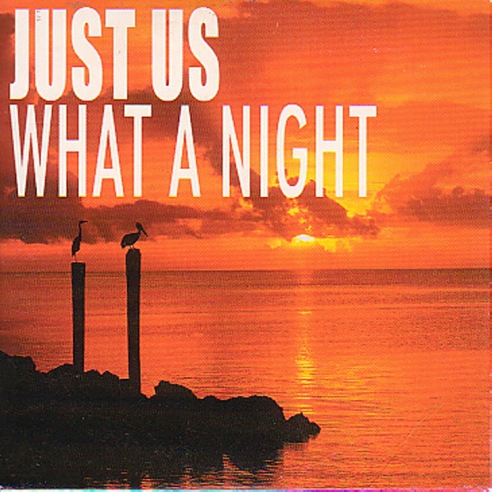 What  a Night (Andy Van & John Course Vocal Edit)