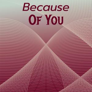 Album Because Of You oleh Silvia Natiello-Spiller